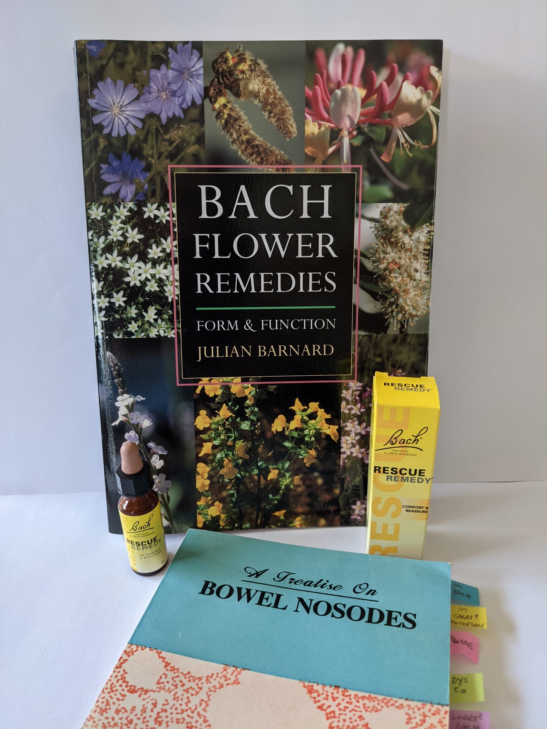The Bowel Nosodes and Flower Essences - areas of research for Dr Bach
