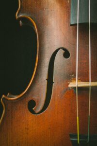 Medicine as a violin needs the string of homeopathy
