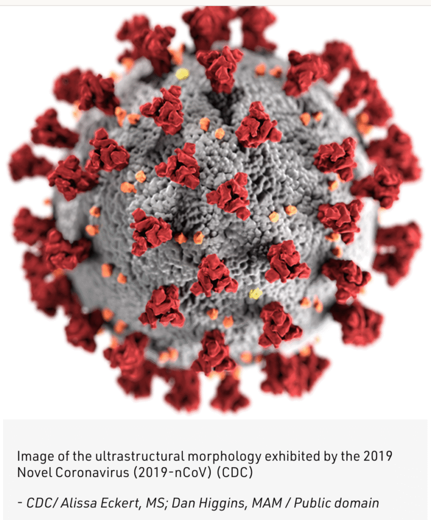 Covid Virus Image