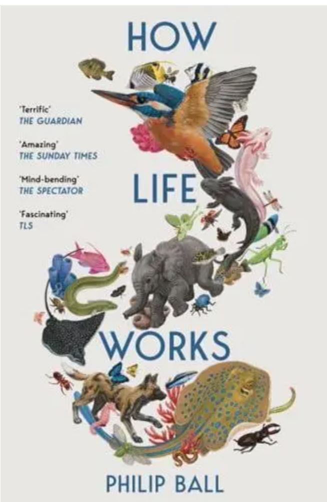 Philip Ball tells us that science does not yet understand life.  It does not recognise the metaphysical.  But Homeopathy and its medicines are metaphysical in nature